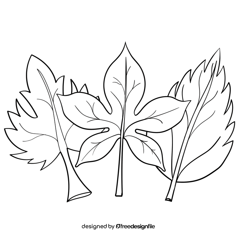 Autumn leaf black and white clipart