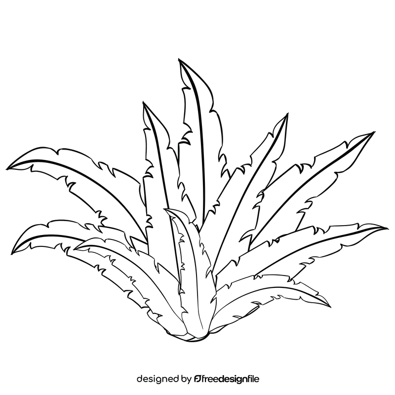 Water leaf black and white clipart