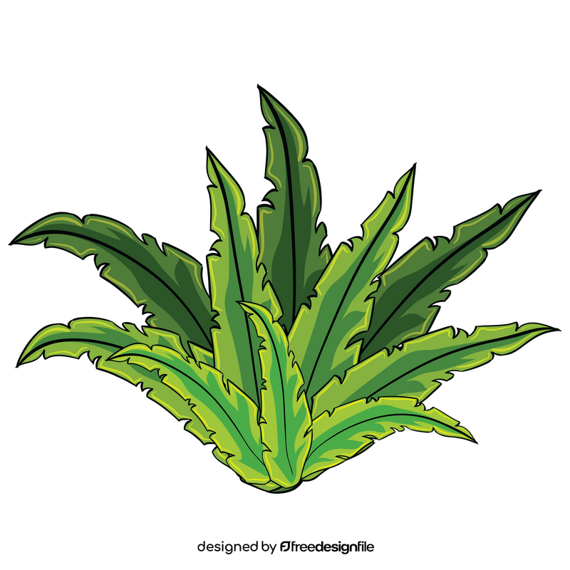 Water leaf clipart