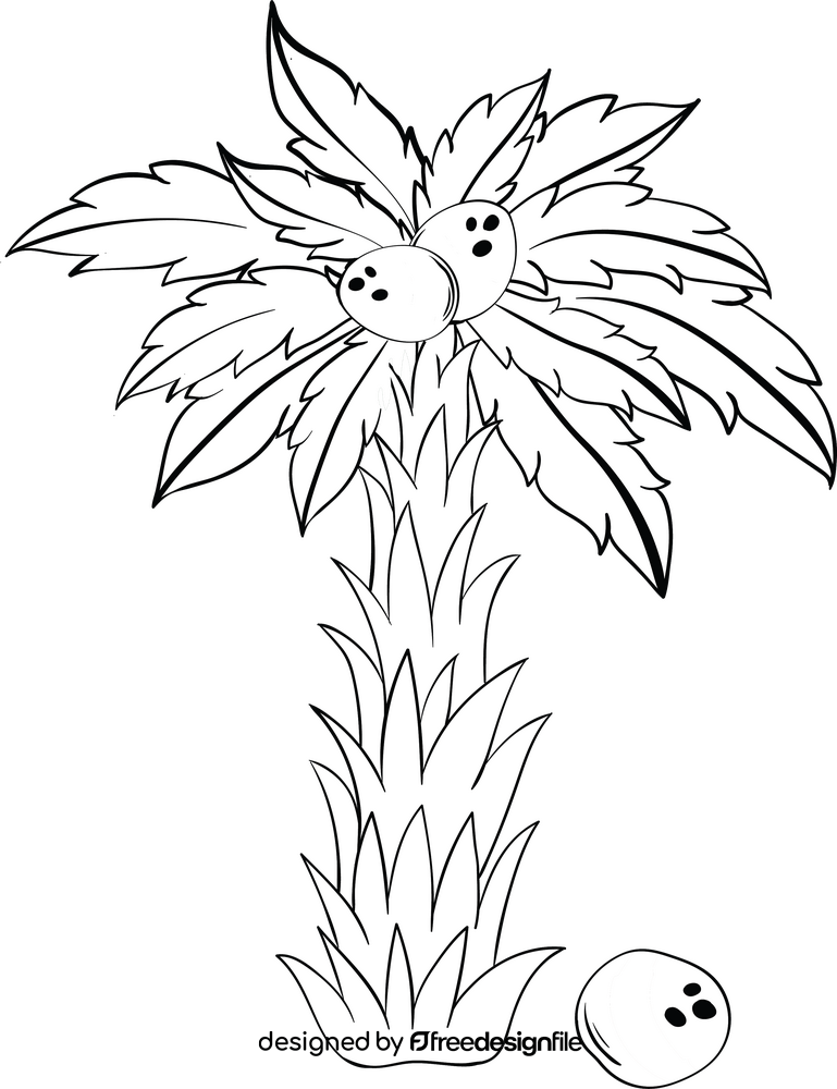 Coconut palm tree black and white clipart