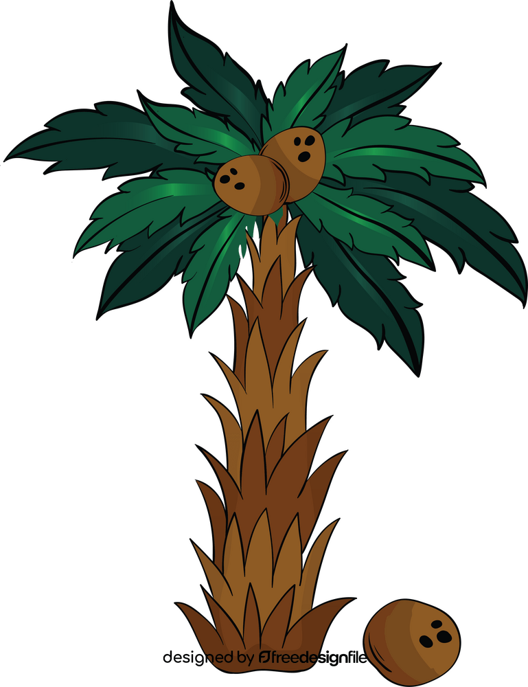 Coconut palm tree clipart