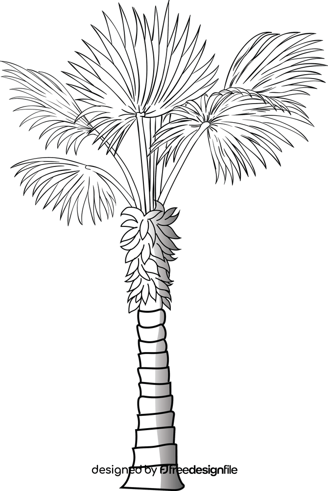 Palm tree black and white clipart