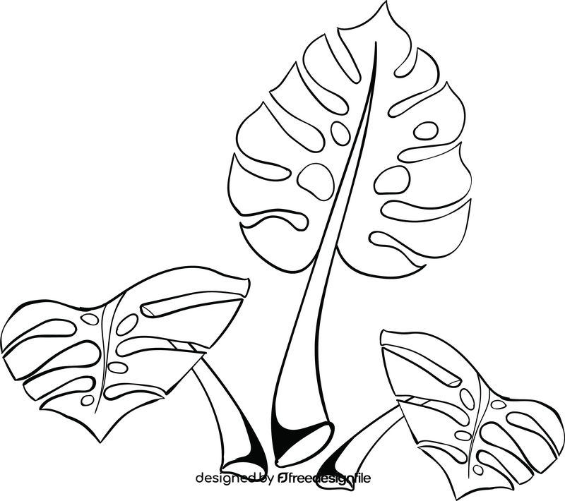 Palm tree leaves black and white clipart