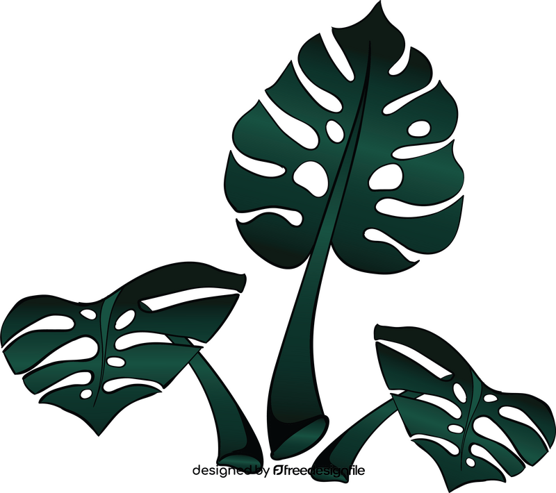 Palm tree leaves clipart