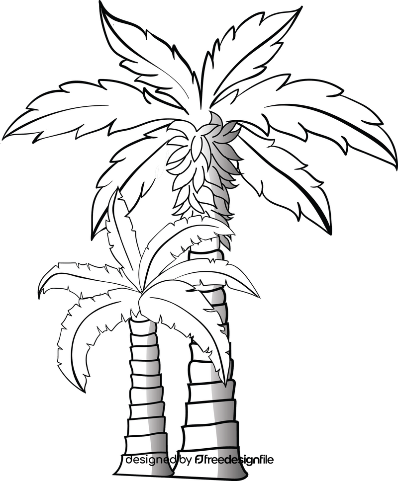 Green palm tree black and white clipart
