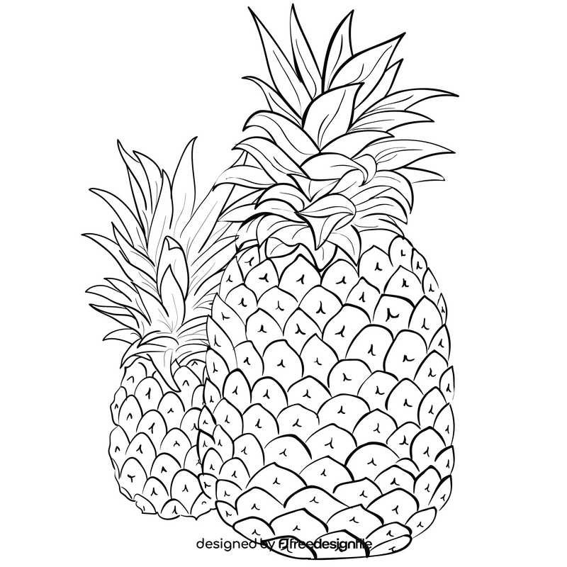 Free pineapple black and white clipart