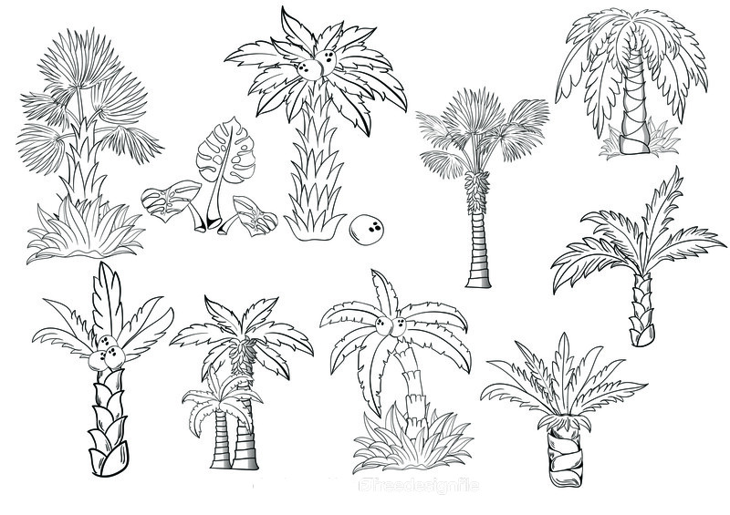 Palm tree black and white vector