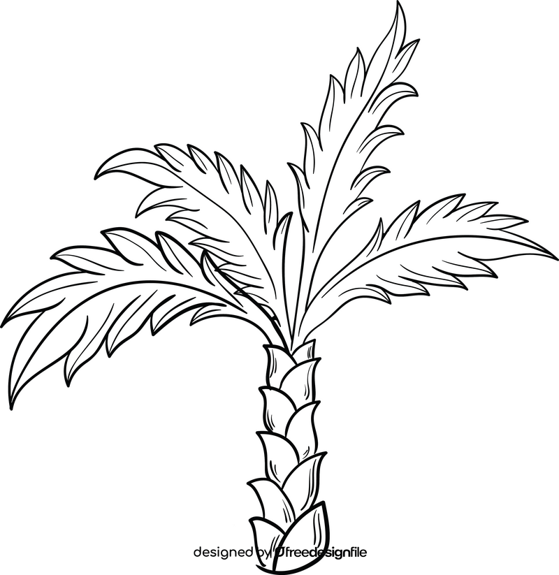 Palm black and white clipart