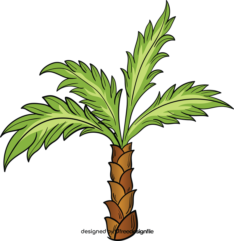 Palm clipart