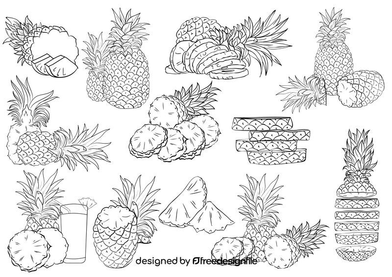 Pineapple black and white vector