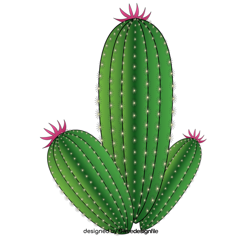 Potted cactus clipart