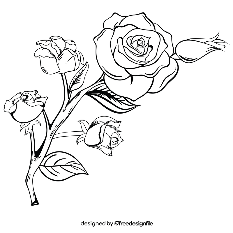 Rose flower black and white clipart