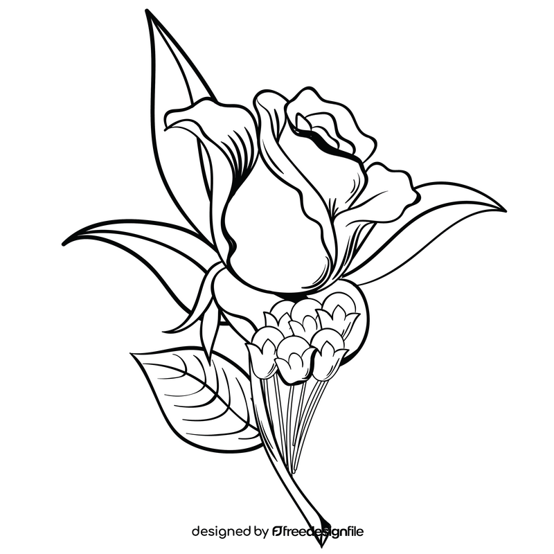 Rose with leaves black and white clipart