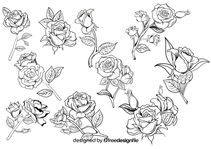 Rose black and white vector