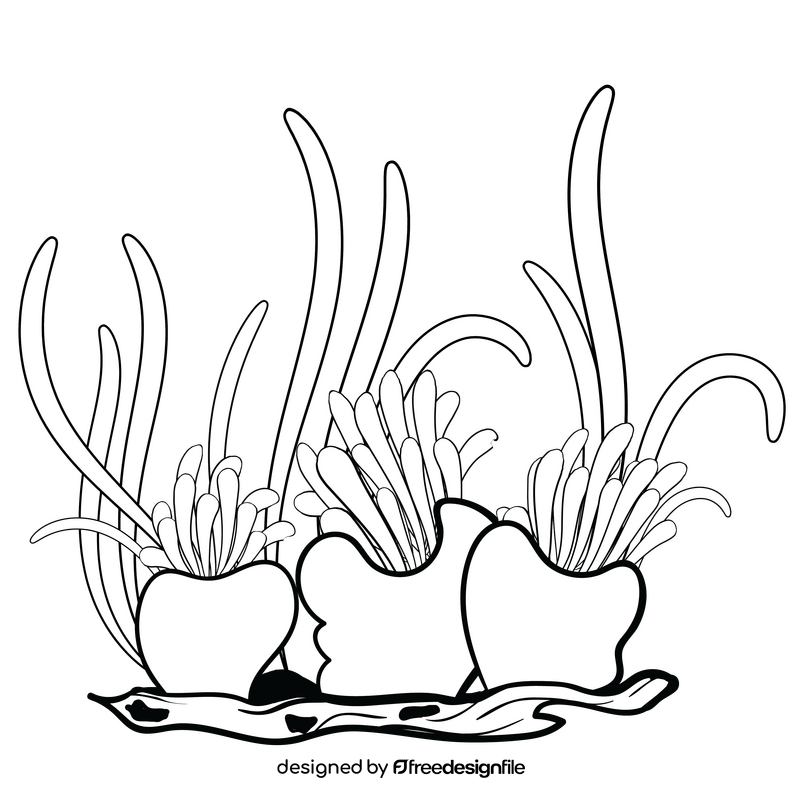 Underwater plant black and white clipart