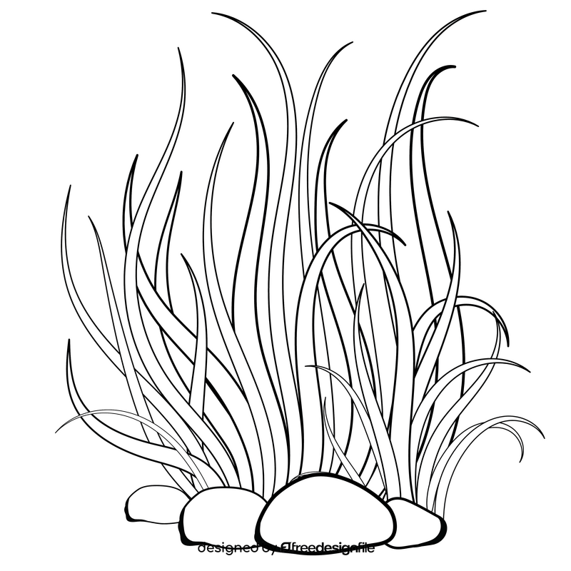 Sea plant black and white clipart