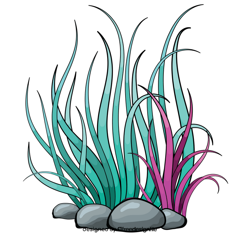 Sea plant clipart