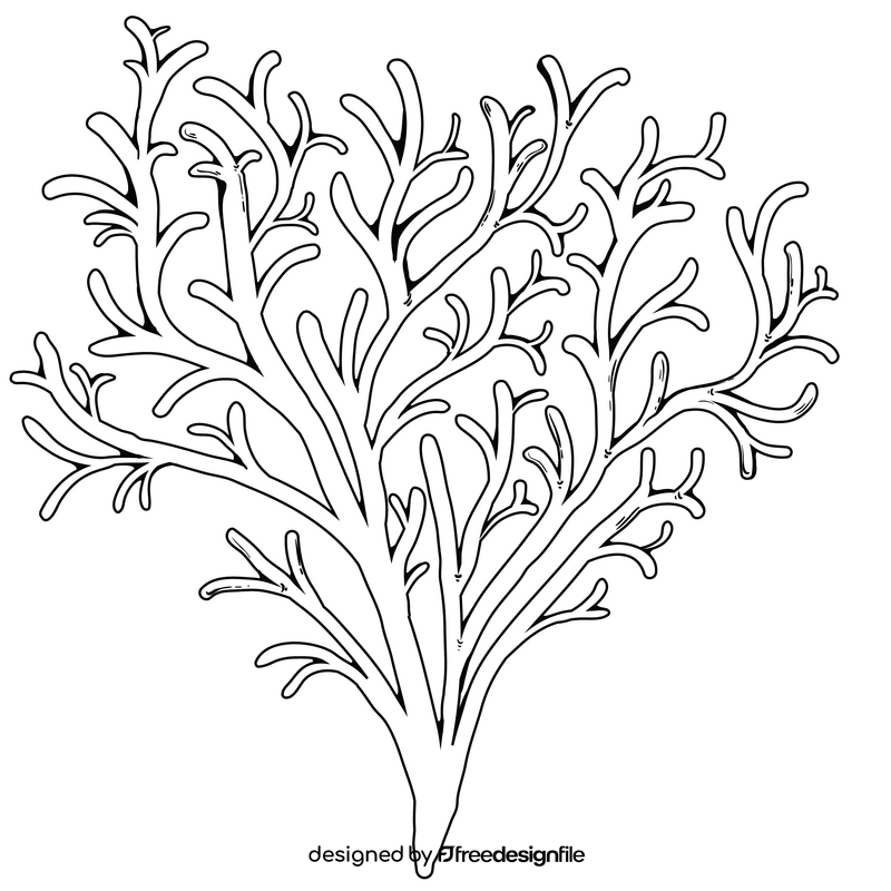 Sea plant black and white clipart