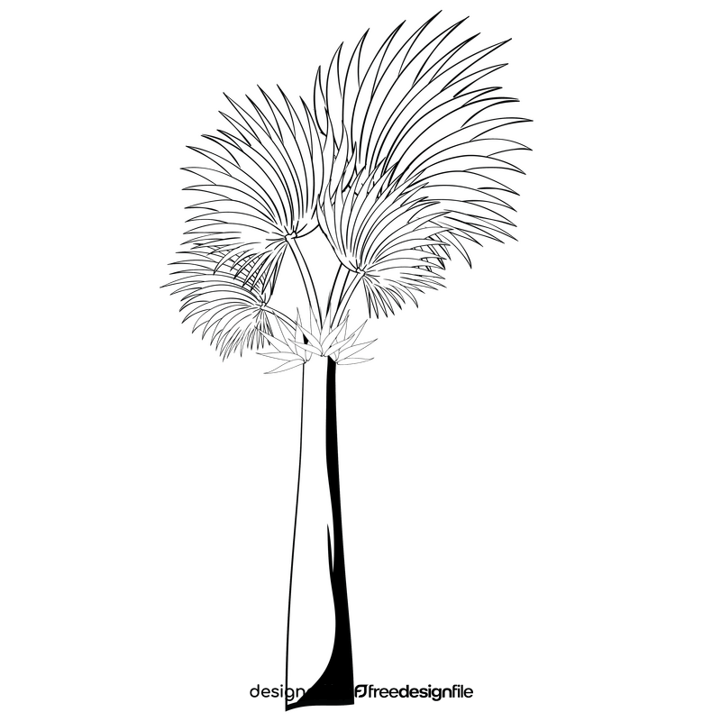 Palm tree black and white clipart