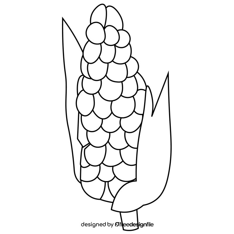 Corn drawing black and white clipart