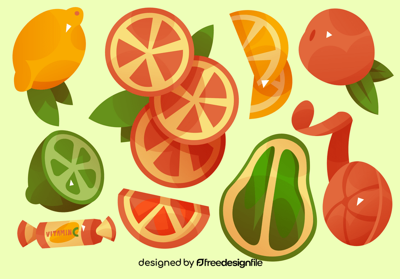 Citrus fruits set vector