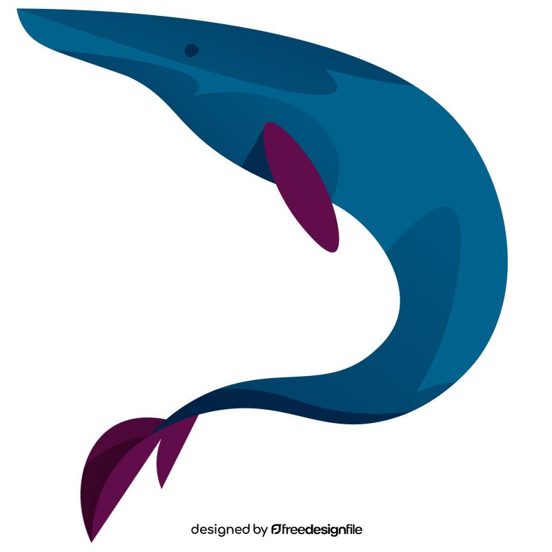 New Zealand whale clipart