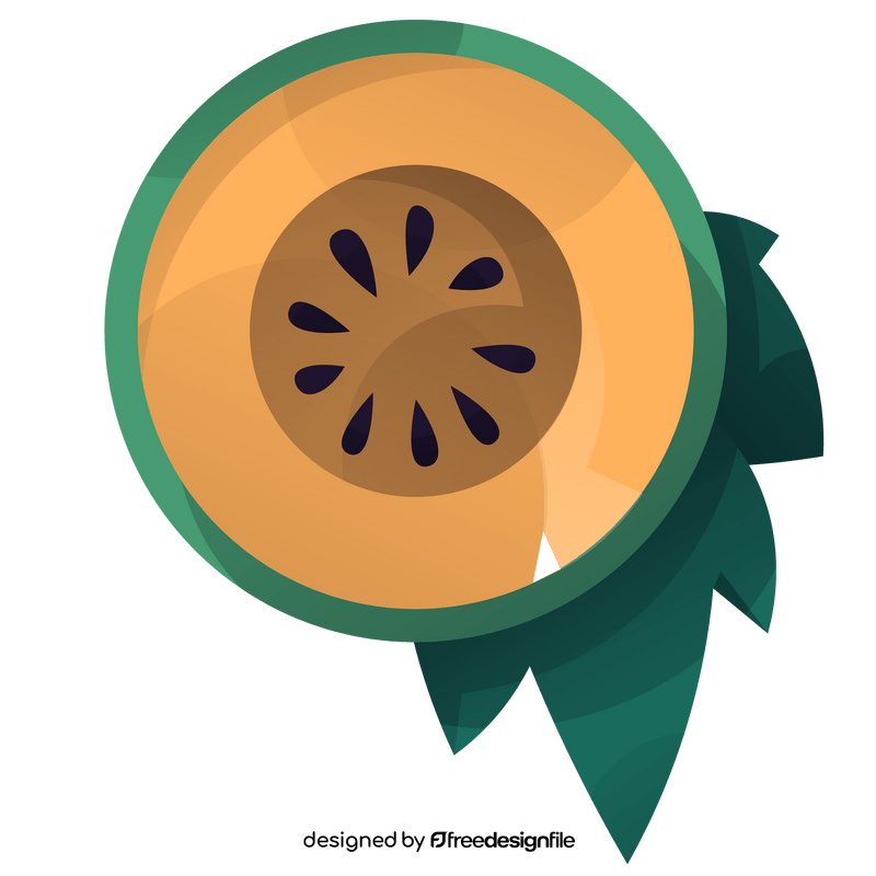 Melon cut in half, circle, flat design clipart