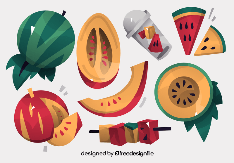 Bright set of fresh melon watermelon flat design vector