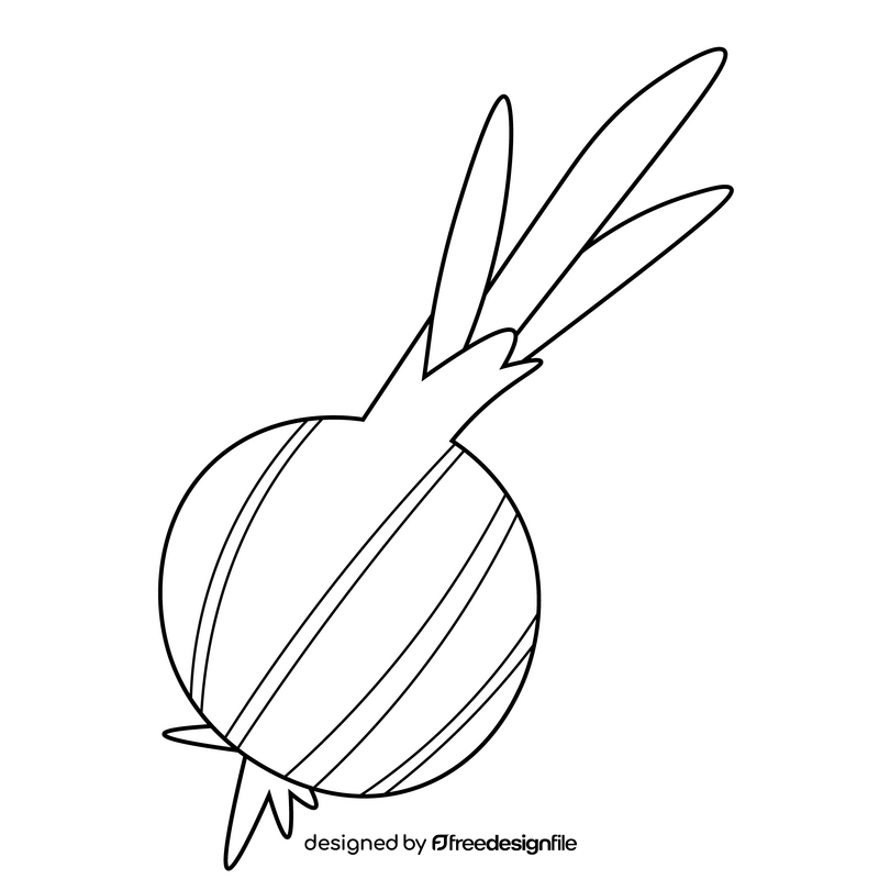 Onion vegetable drawing black and white clipart