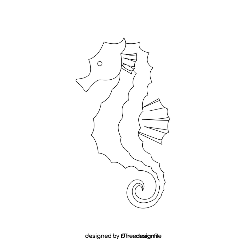 Seahorse drawing black and white clipart