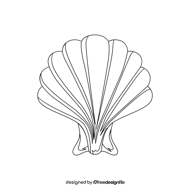 Shell drawing black and white clipart