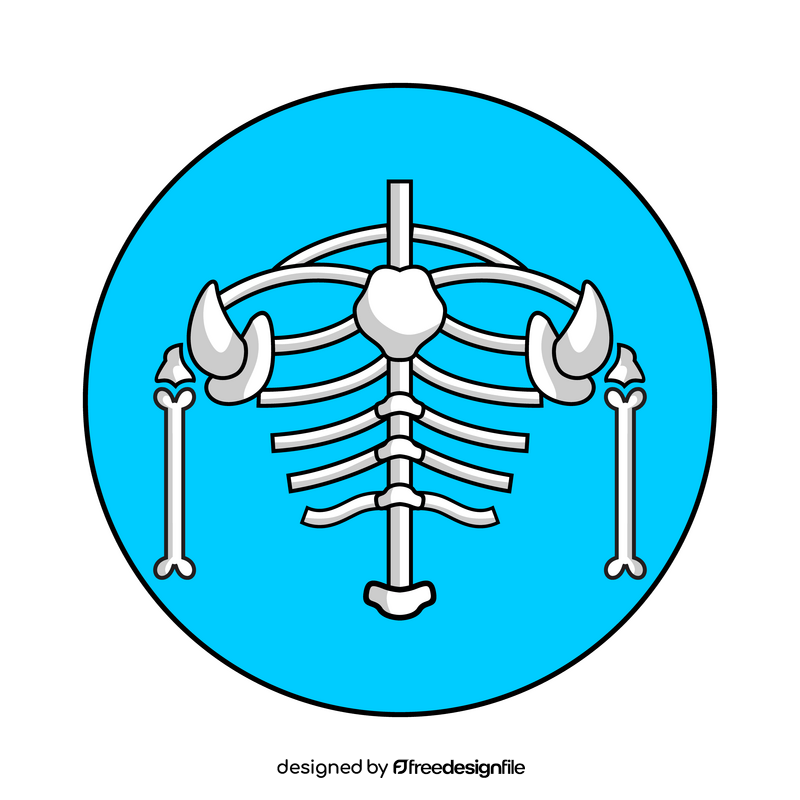 Bone human body structure clipart