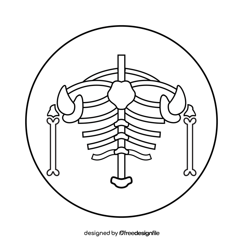 Bone human body structure drawing black and white clipart