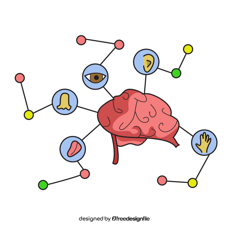 Brain sense functions clipart