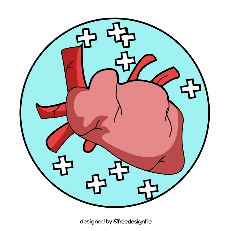 Healthy heart human organ clipart