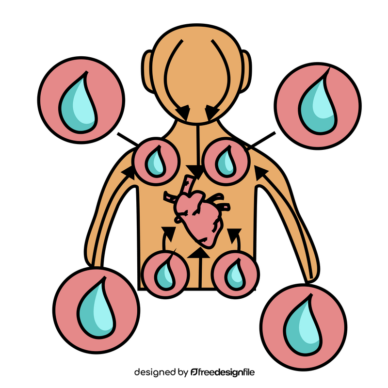 Human heart organ function, blood circulation clipart