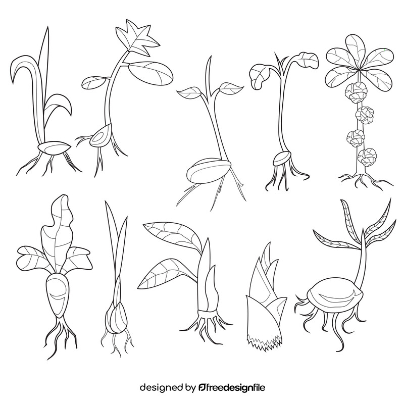 Sprout of different plants set black and white vector