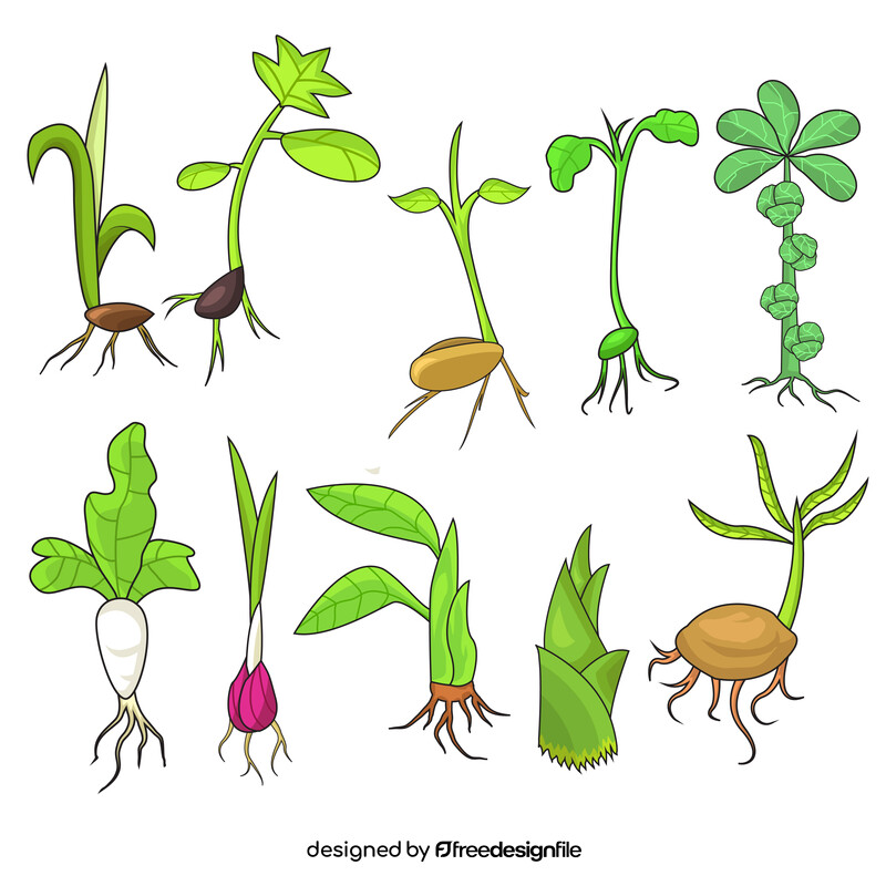 Sprout of different plants set vector