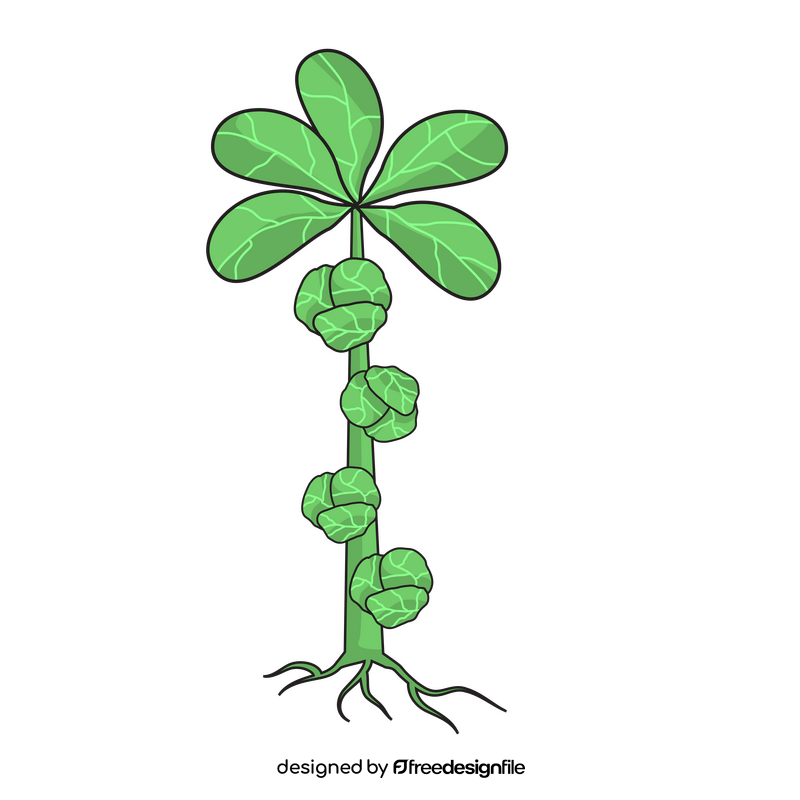 Sprout of brussels plant clipart