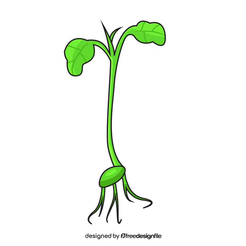 Sprout of broccoli plant clipart