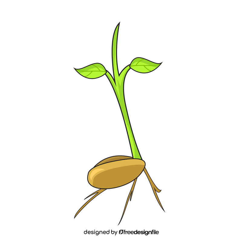 Sprout bean clipart