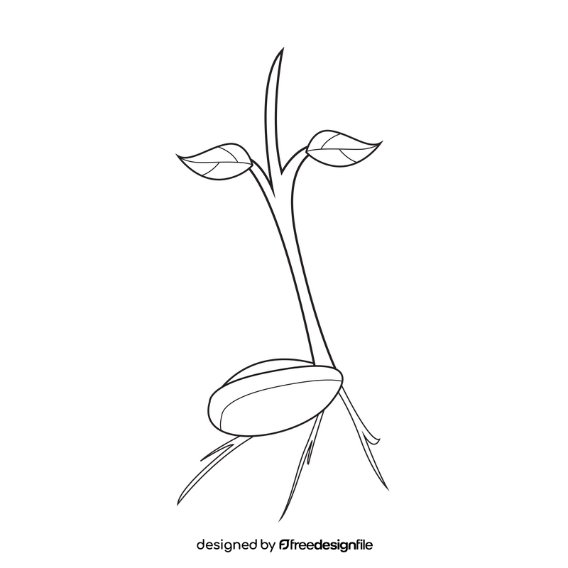 Sprout bean drawing black and white clipart