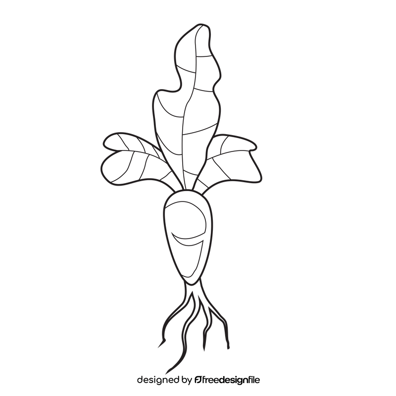 Sprout of radish plant black and white clipart