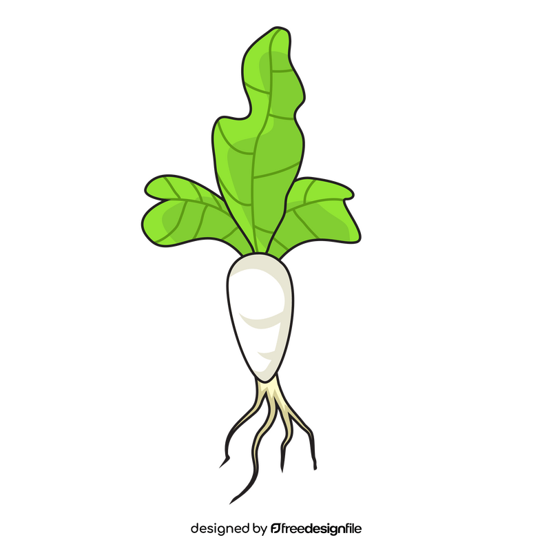 Sprout of radish plant clipart