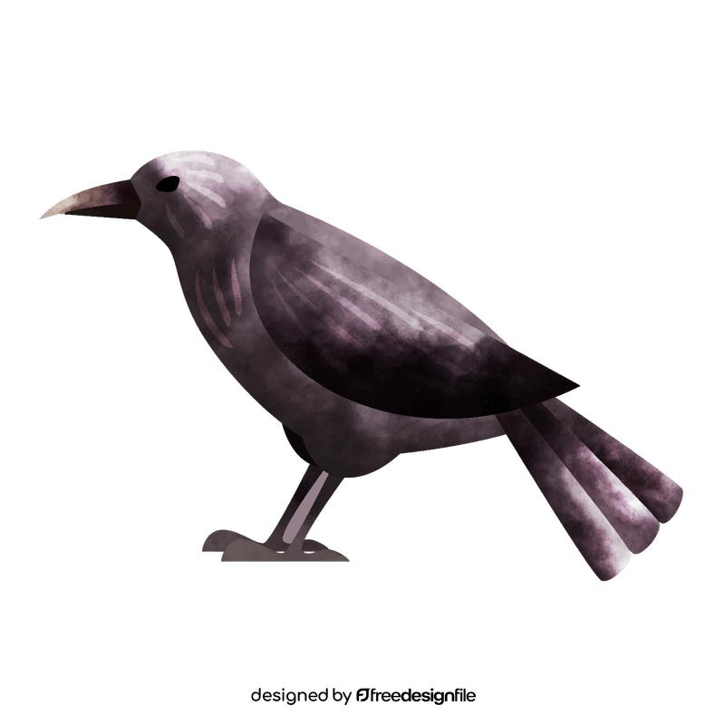 Crow bird clipart