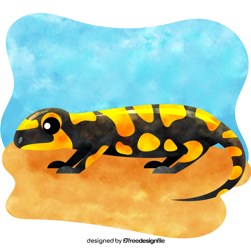 Salamander vector