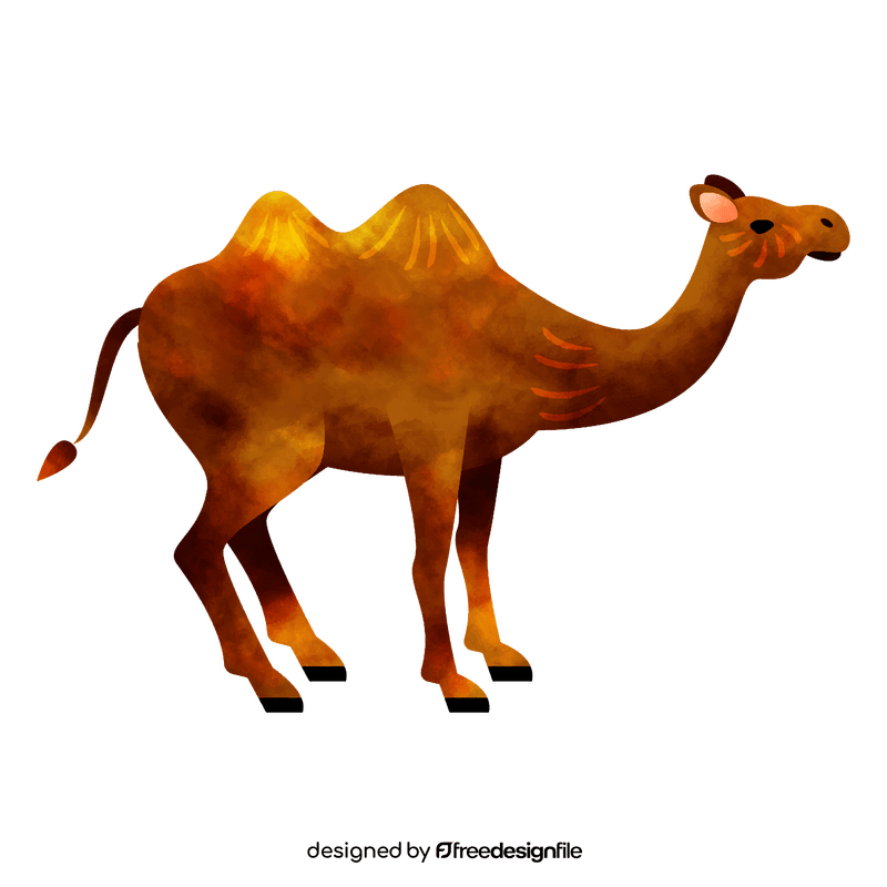 Camel clipart