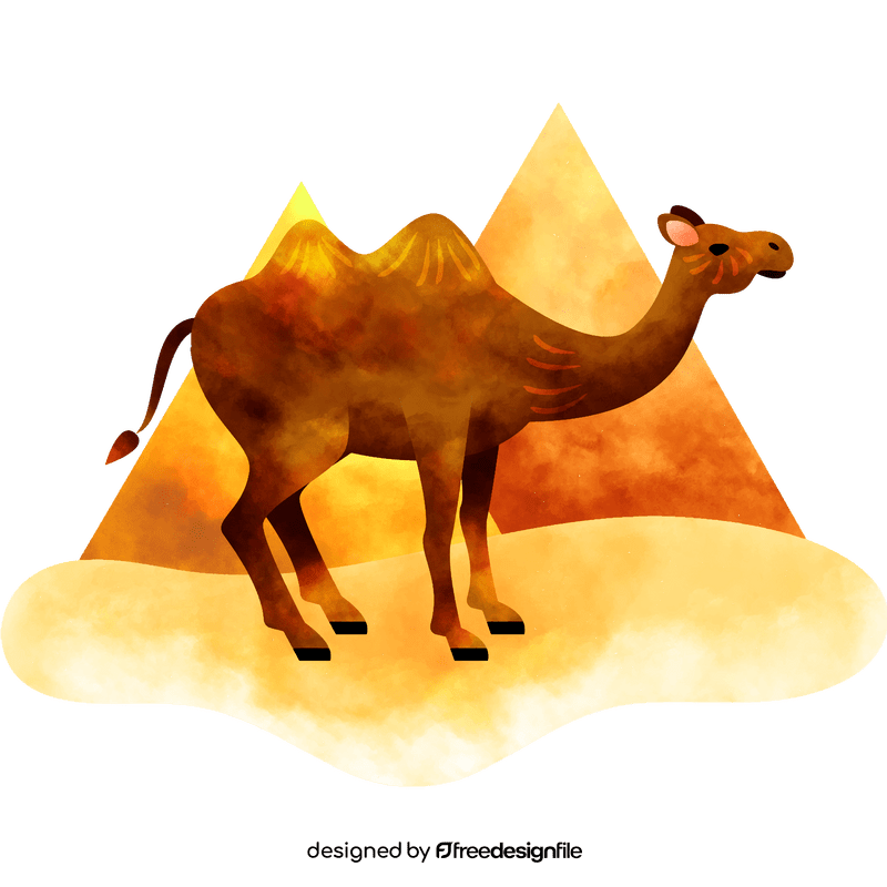 Camel vector