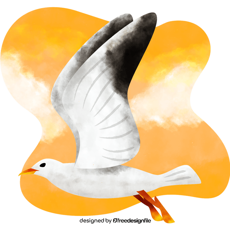 Seagull vector