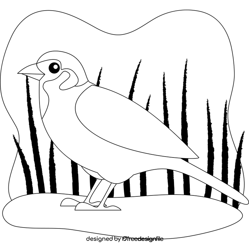 Sparrow drawing black and white clipart